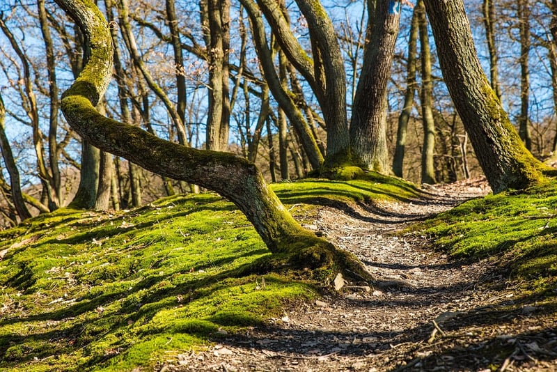 Nature Trails